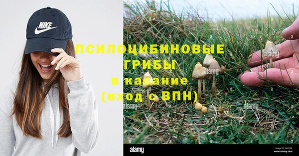 герыч Алзамай