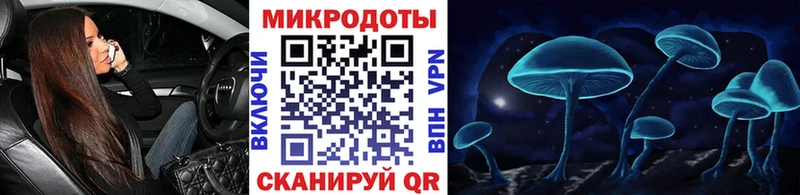 kraken как войти как найти наркотики Арск Галлюциногенные грибы Magic Shrooms